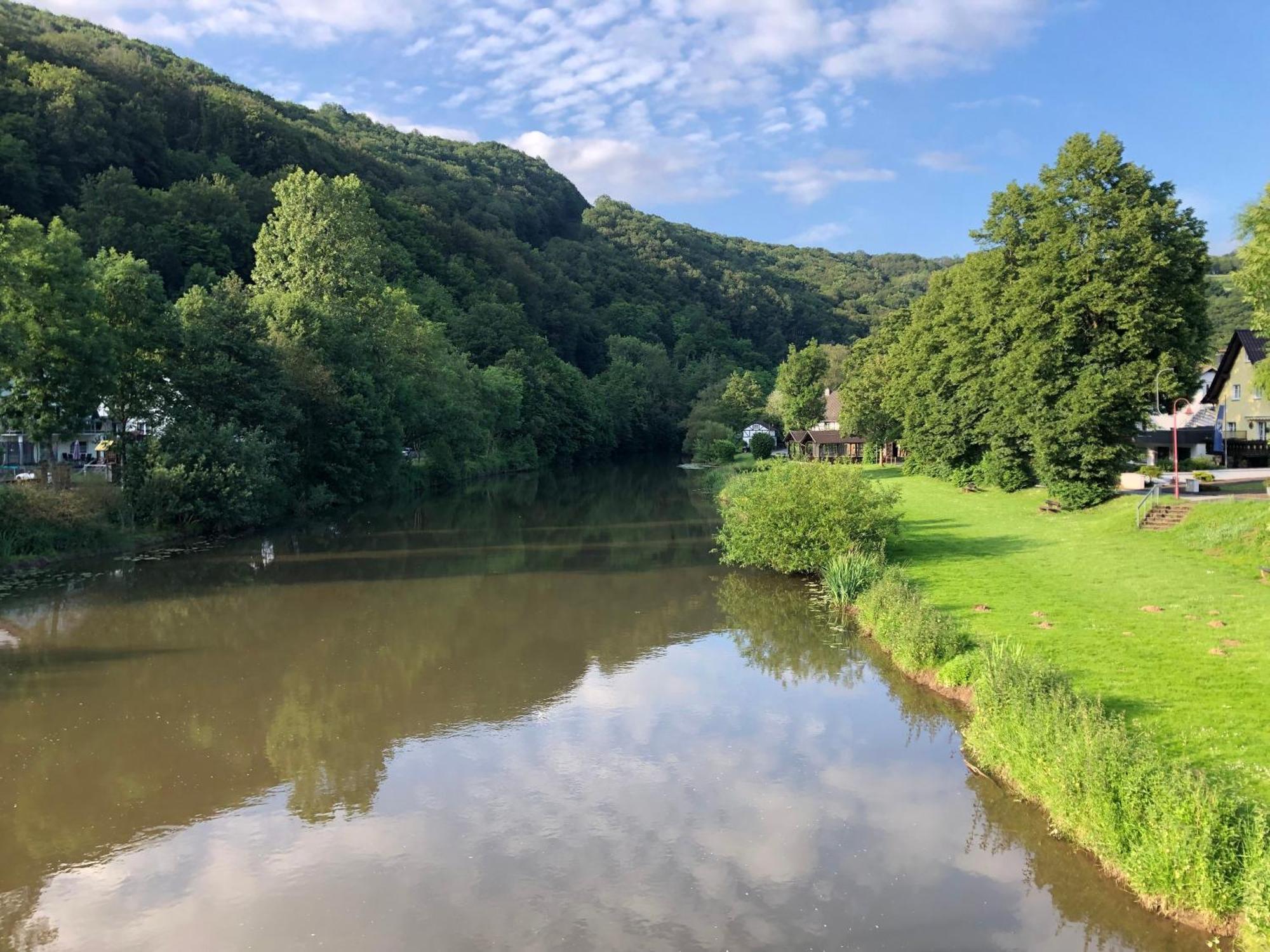 Ferienwohnung "Gaston" Mitten In Waldbreitbach Экстерьер фото
